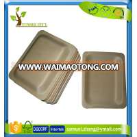 Disposable Restaurant Dessert Salad Sushi Use Rectangular Shape Wooden Plate